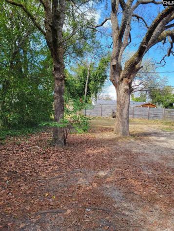 7029 Sprott Street Columbia SC 29223-0003