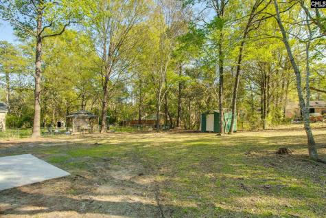 112 Hayburg Drive Irmo SC 29063