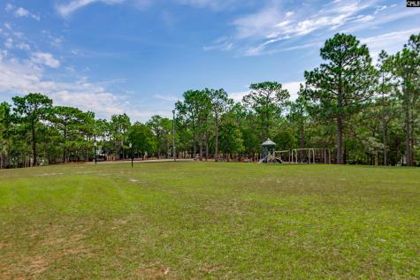 16 Glenn Knoll Columbia SC 29229