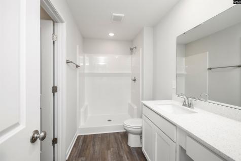 236 Brando Way Columbia SC 29223