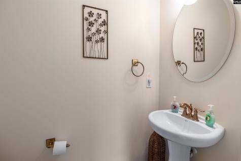 135 Magnolia Tree Road Lexington SC 29073