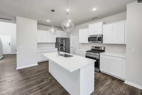 302 Balbriggan Place Aiken SC 29801