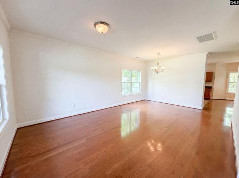 14 Magnolia Springs Court Columbia SC 29209