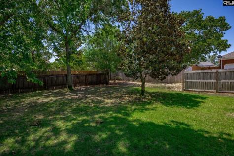 25 Hilltopper Court Blythewood SC 29016