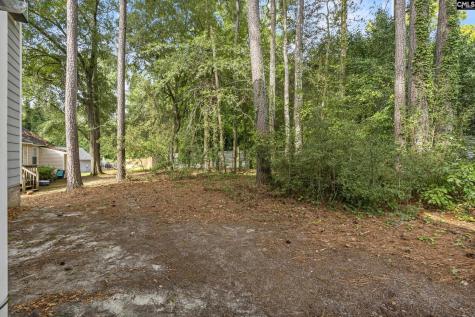 104 Evian Place Columbia SC 29204