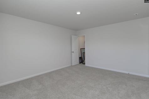 1116 Daffodil Lane Lexington SC 29072