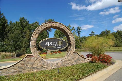 1116 Daffodil Lane Lexington SC 29072