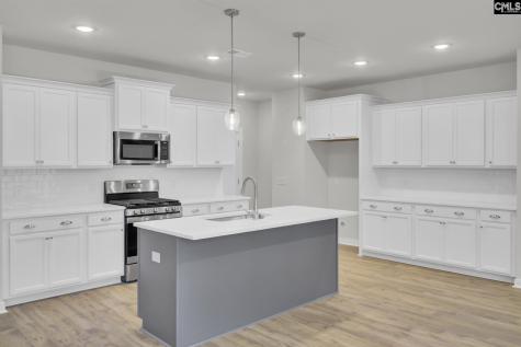 669 Rose Copper Way Drive Lexington SC 29073