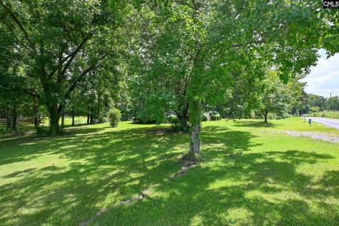 1409 Windmill Road Leesville SC 29070