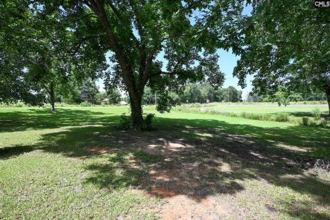 1409 Windmill Road Leesville SC 29070