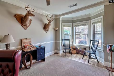 151 Swanhaven Lexington SC 29073-6996