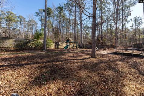 40 Wading Bird Loop Blythewood SC 29016