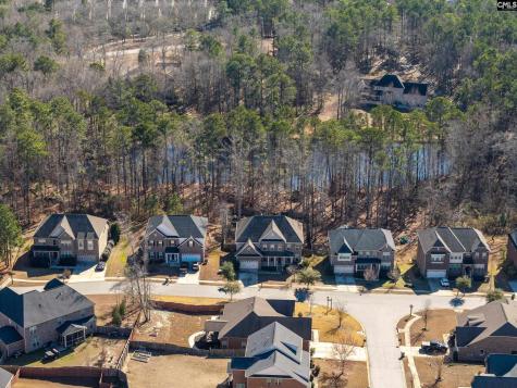 40 Wading Bird Loop Blythewood SC 29016