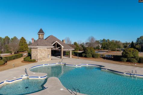 40 Wading Bird Loop Blythewood SC 29016