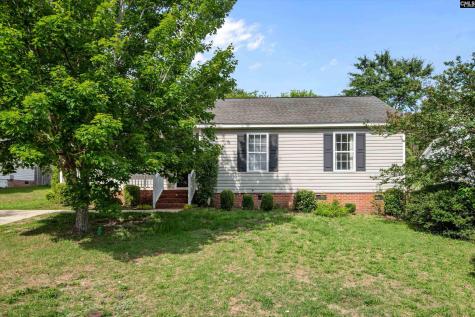 245 Jessica Drive Lexington SC 29073