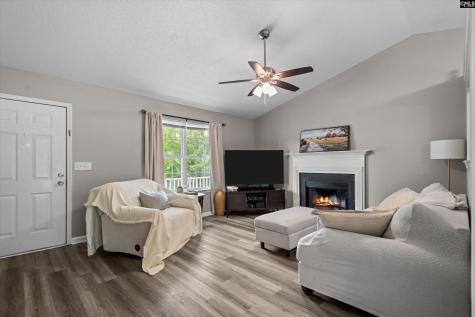 245 Jessica Drive Lexington SC 29073