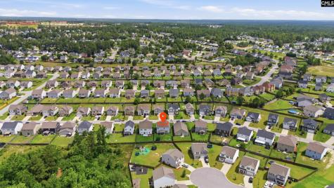 938 Native Rye Way Lexington SC 29073