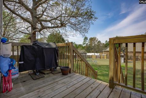 243 Haigs Creek Elgin SC 29045
