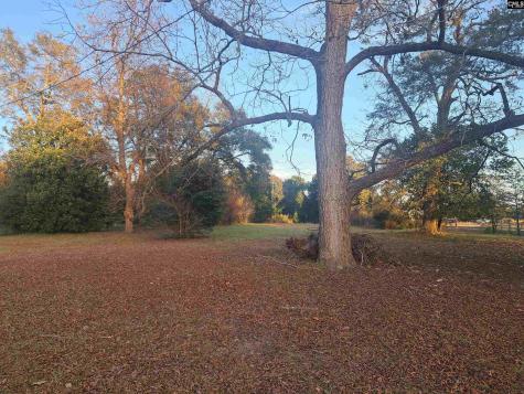 6715 Young Street Rembert SC 29128