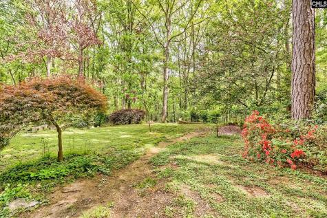 130 Orchard Place Court Lexington SC 29072