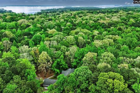 130 Orchard Place Court Lexington SC 29072