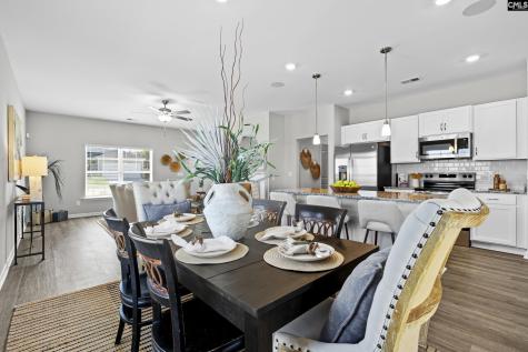 754 Clementine Run Gilbert SC 29054