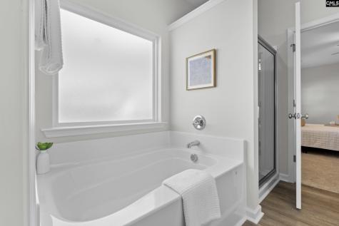 754 Clementine Run Gilbert SC 29054