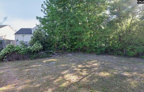 134 Hester Woods Drive Columbia SC 29223