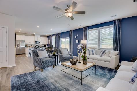 611 Basalt Court Chapin SC 29036