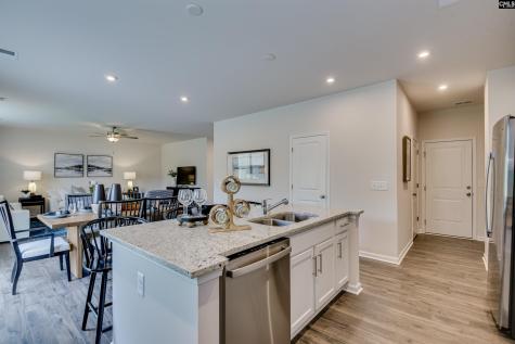 611 Basalt Court Chapin SC 29036