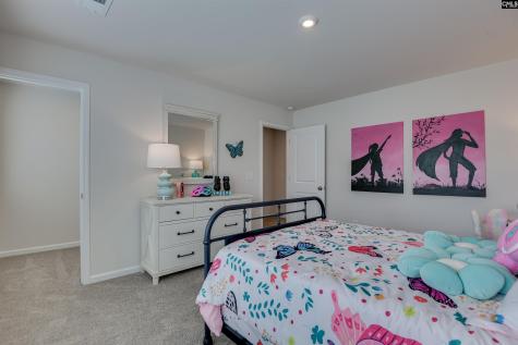 611 Basalt Court Chapin SC 29036