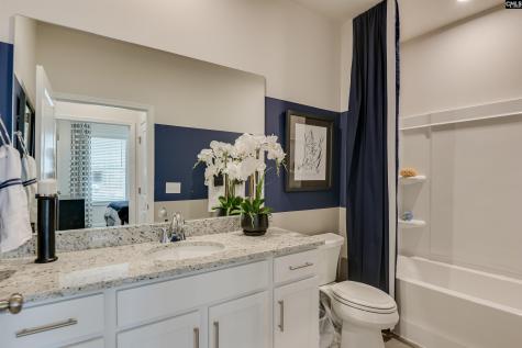 611 Basalt Court Chapin SC 29036