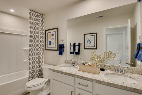 611 Basalt Court Chapin SC 29036