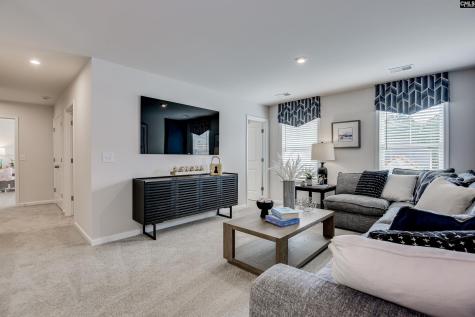 611 Basalt Court Chapin SC 29036