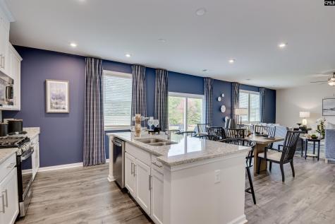 611 Basalt Court Chapin SC 29036