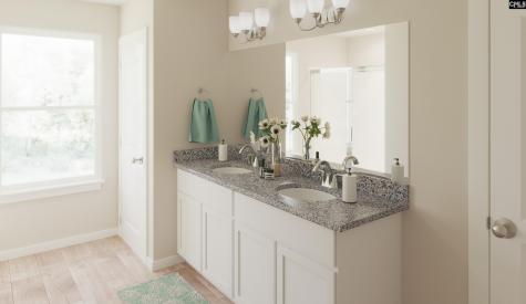 611 Basalt Court Chapin SC 29036