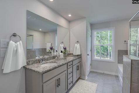 611 Basalt Court Chapin SC 29036