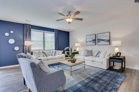 611 Basalt Court Chapin SC 29036