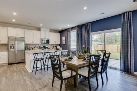 611 Basalt Court Chapin SC 29036