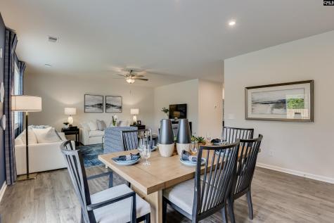 611 Basalt Court Chapin SC 29036