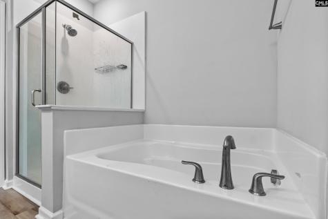 1117 Turtle Stone Road Blythewood SC 29016