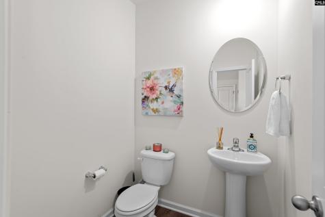 473 Stone Hollow Drive Irmo SC 29063