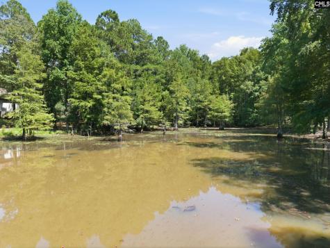 169 Shumpert Road West Columbia SC 29172