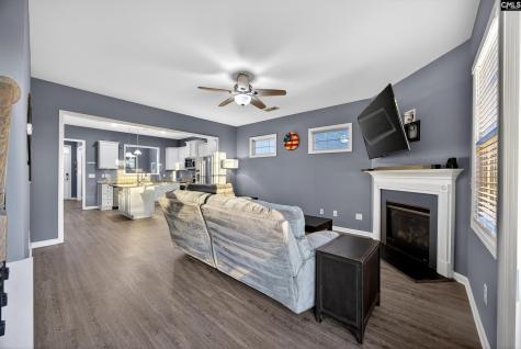 220 Cassique Drive Lexington SC 29073