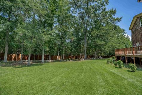 333 Nina Lee Drive Columbia SC 29203