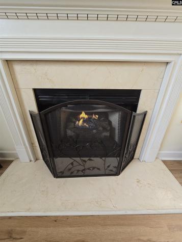 118 Gallivan Drive Columbia SC 29229