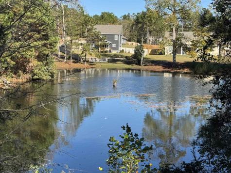 225 Shadowbrook Way Camden SC 29020
