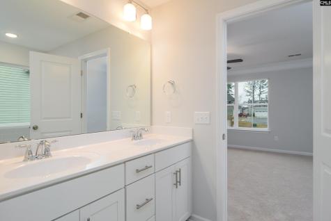 631 Thunder Gulch Avenue Lexington SC 29073