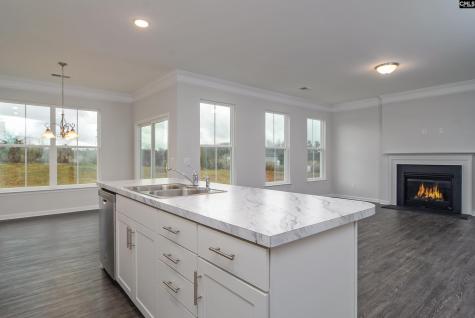 631 Thunder Gulch Avenue Lexington SC 29073