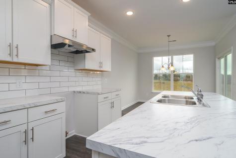 631 Thunder Gulch Avenue Lexington SC 29073